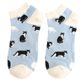 Pair of Miss Sparrow ladies' powder blue bamboo trainer socks featuring playful black and white cats in different poses with cream cuffs, heels and toes.