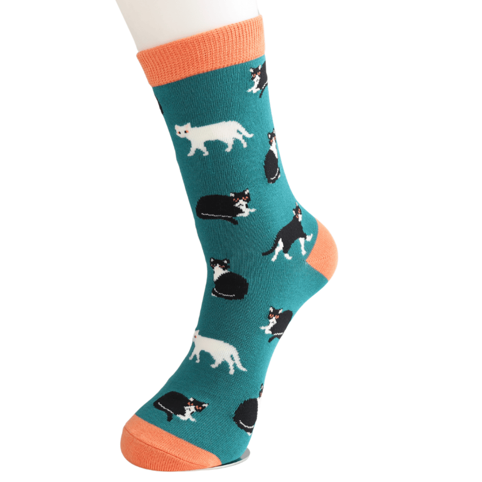 Miss Sparrow Ladies' Bamboo Cat Socks Black & White Cats Teal on model foot