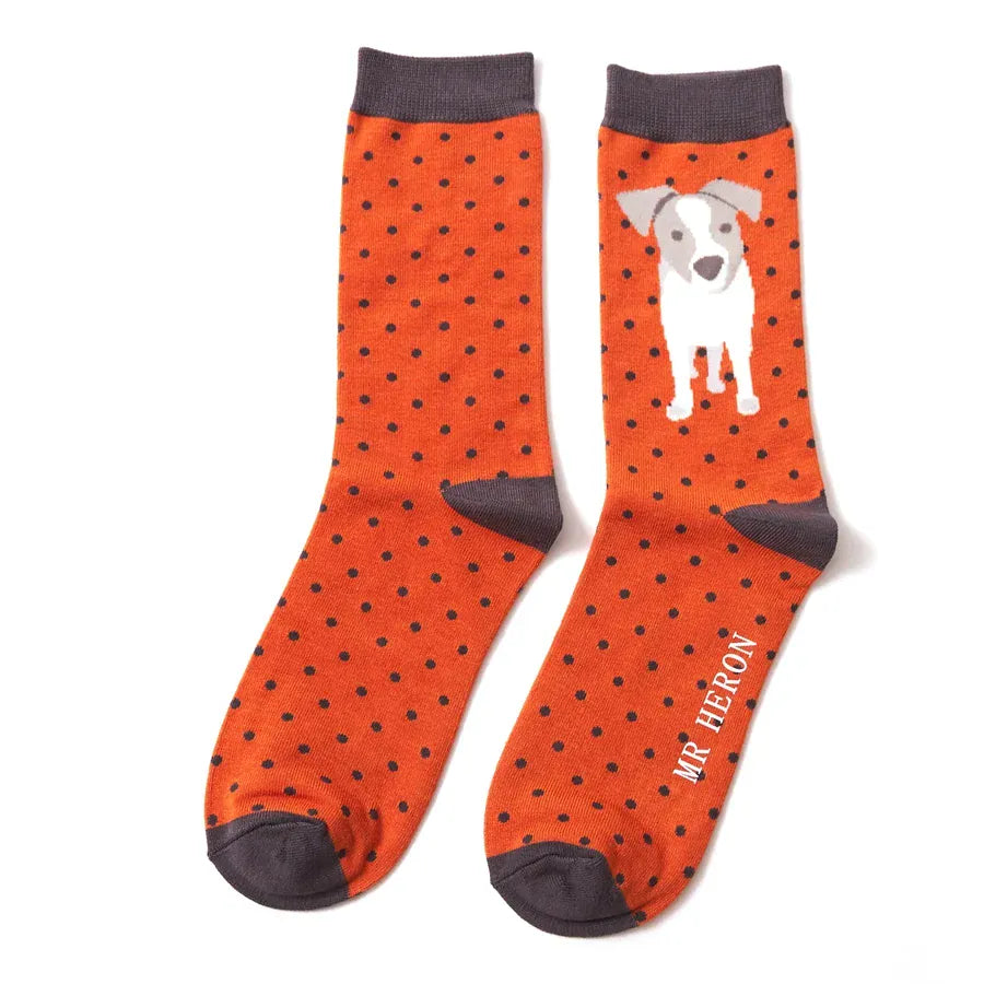 Pair of Mr Heron men's orange bamboo socks featuring an adorable Jack Russell puppy with navy polka dots and charcoal grey cuffs, heels and toes.