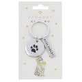 Silver Coloured Pawsome Cat Keyring