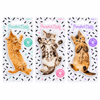 Purrfect Nails cat shaped double sided nail files by Suck UK, showing three individually packaged kitten designs in ginger and tabby colours.
