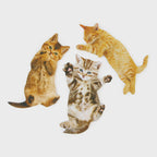 Three adorable cat shaped nail files featuring playful ginger and tabby kittens, each with a unique pose and realistic cat artwork.
