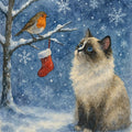 Ragdoll cat and robin Christmas card featuring a fluffy blue-eyed Ragdoll watching a robin beside a red stocking on a snowy branch
