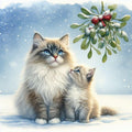 Ragdoll Cats Under the Mistletoe Christmas Card