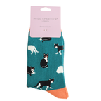 Miss Sparrow Bamboo Socks 'Black & White Cats' Teal