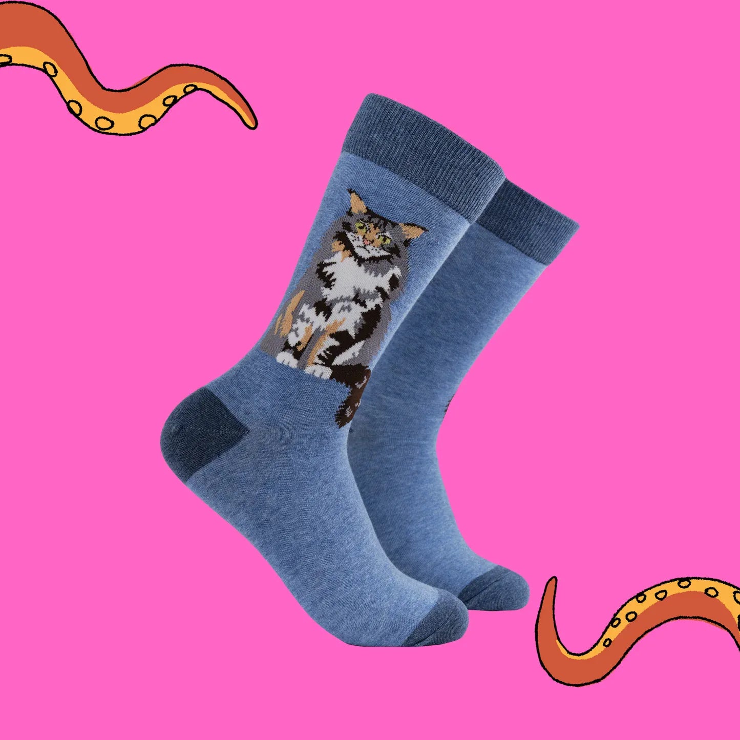 Socktopus Combed Cotton Tabby Maine Coon Energy Socks - Blue Marl