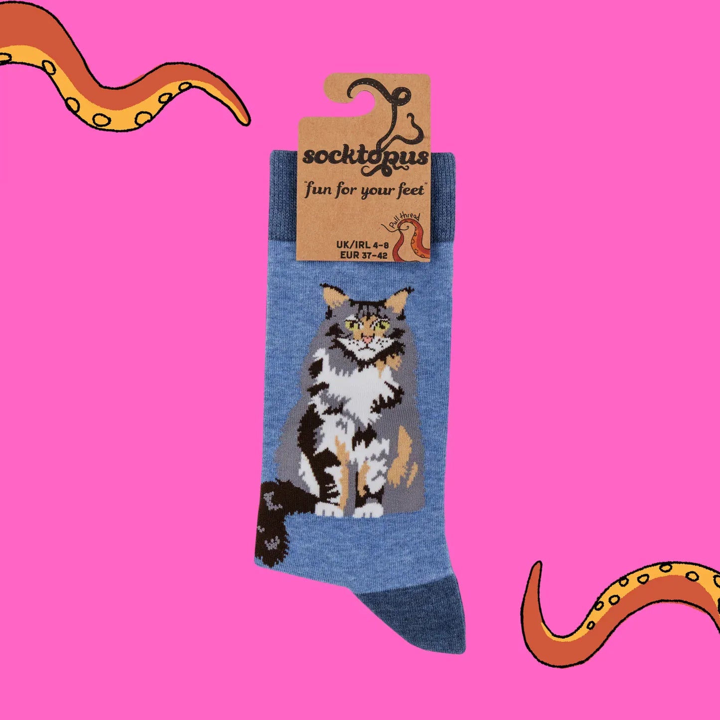 Socktopus Combed Cotton Tabby Maine Coon Energy Socks - Blue Marl