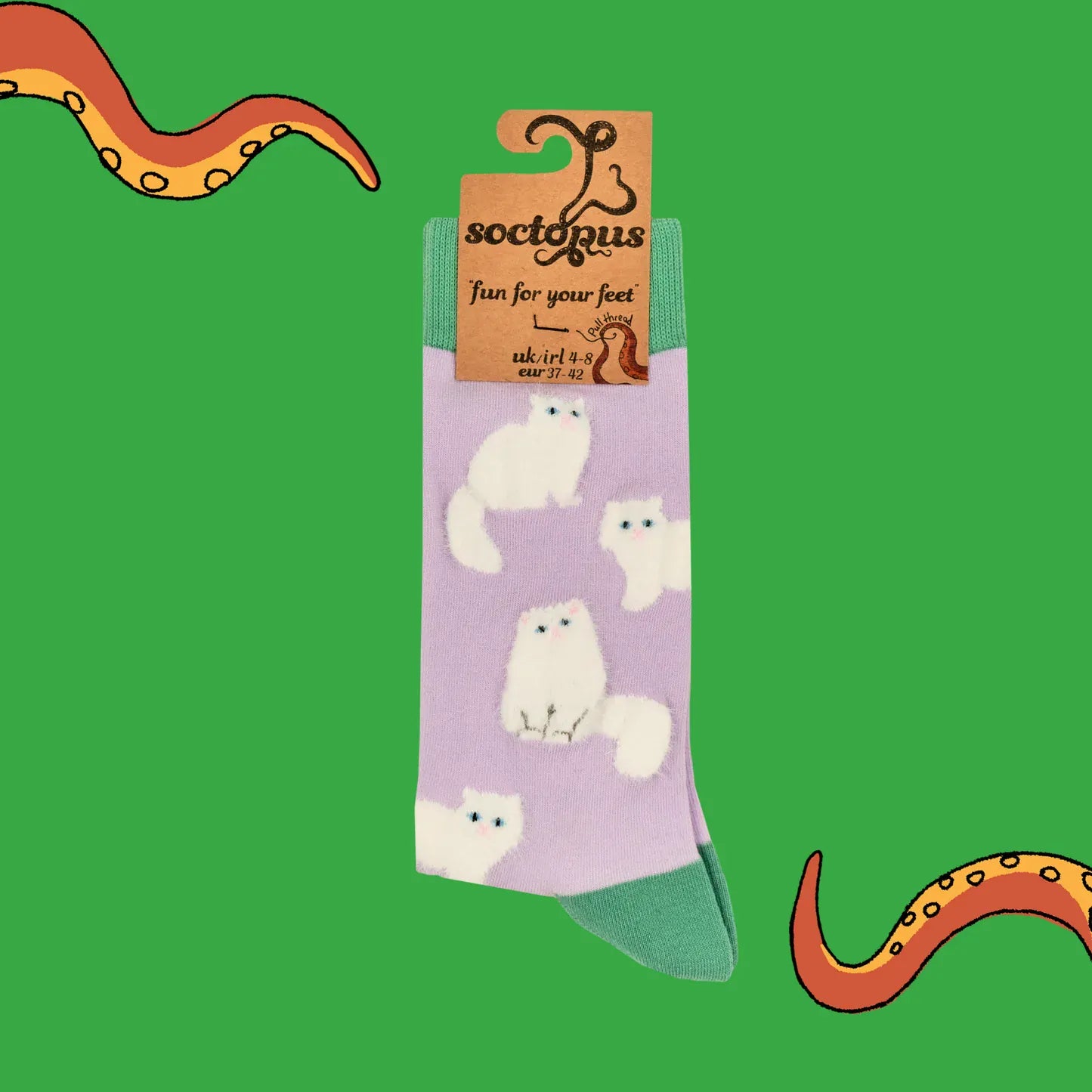 Socktopus Fluffy White Cats combed cotton socks in retail packaging, featuring soft textured white cats on a lilac background with sage green cuffs, heels and toes