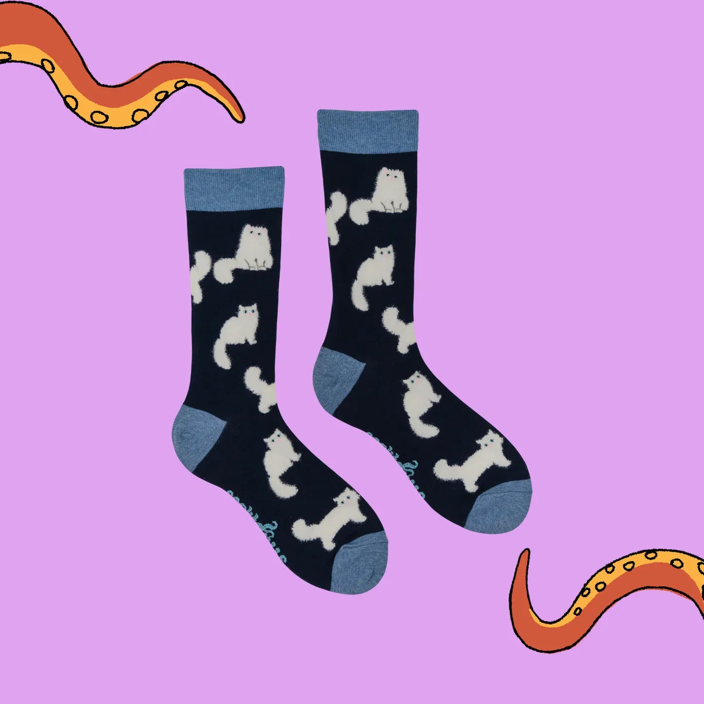 Front view of Socktopus Fluffy White Cats cotton socks, highlighting the fluffy white cat design and pale blue contrast details.
