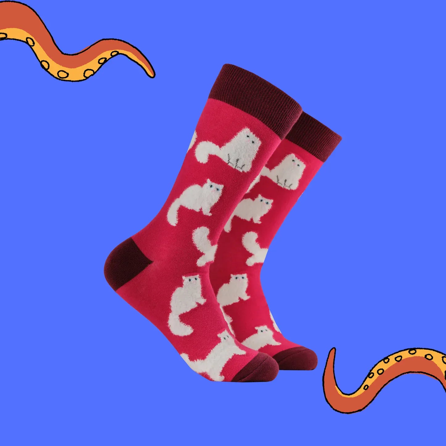Angled view of Socktopus Fluffy White Cats combed cotton socks highlighting the soft textured cats and bold hot pink colour.