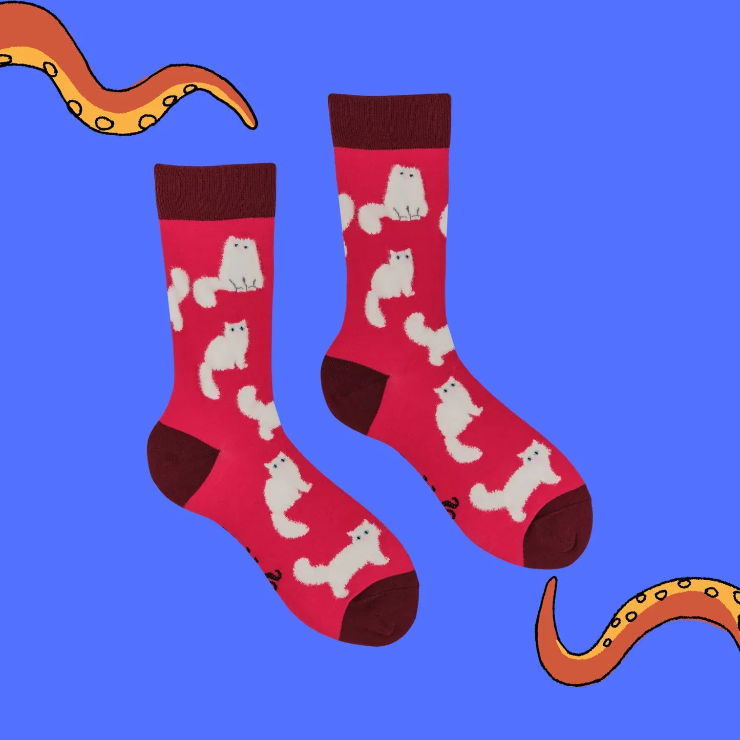 Front view of Socktopus Fluffy White Cats cotton socks, showing the raised fluffy white cat design on a vibrant hot pink background.