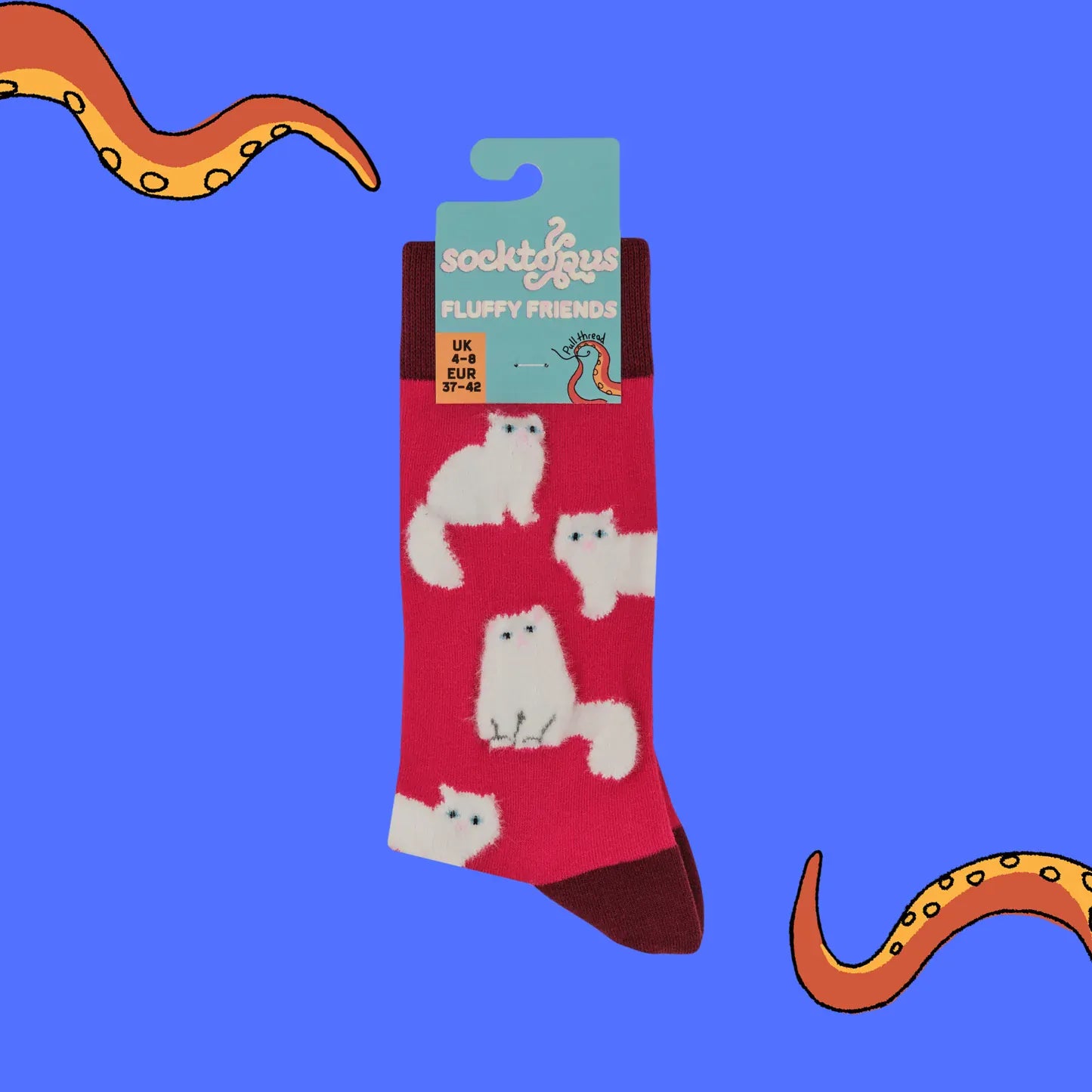 Socktopus Fluffy White Cats combed cotton socks in retail packaging, featuring fluffy white cats on a vibrant hot pink background with burgundy cuffs, heels and toes.
