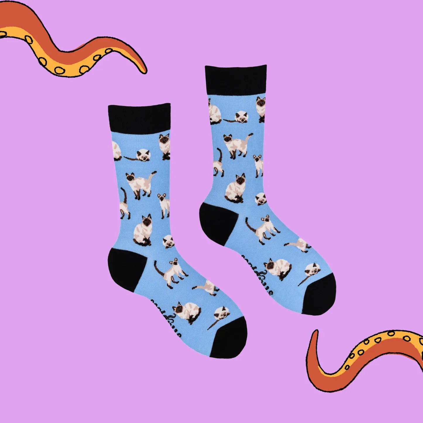 Front and back view of Socktopus Siamese Cats cotton socks showing playful Siamese cat illustrations on a bright blue background.