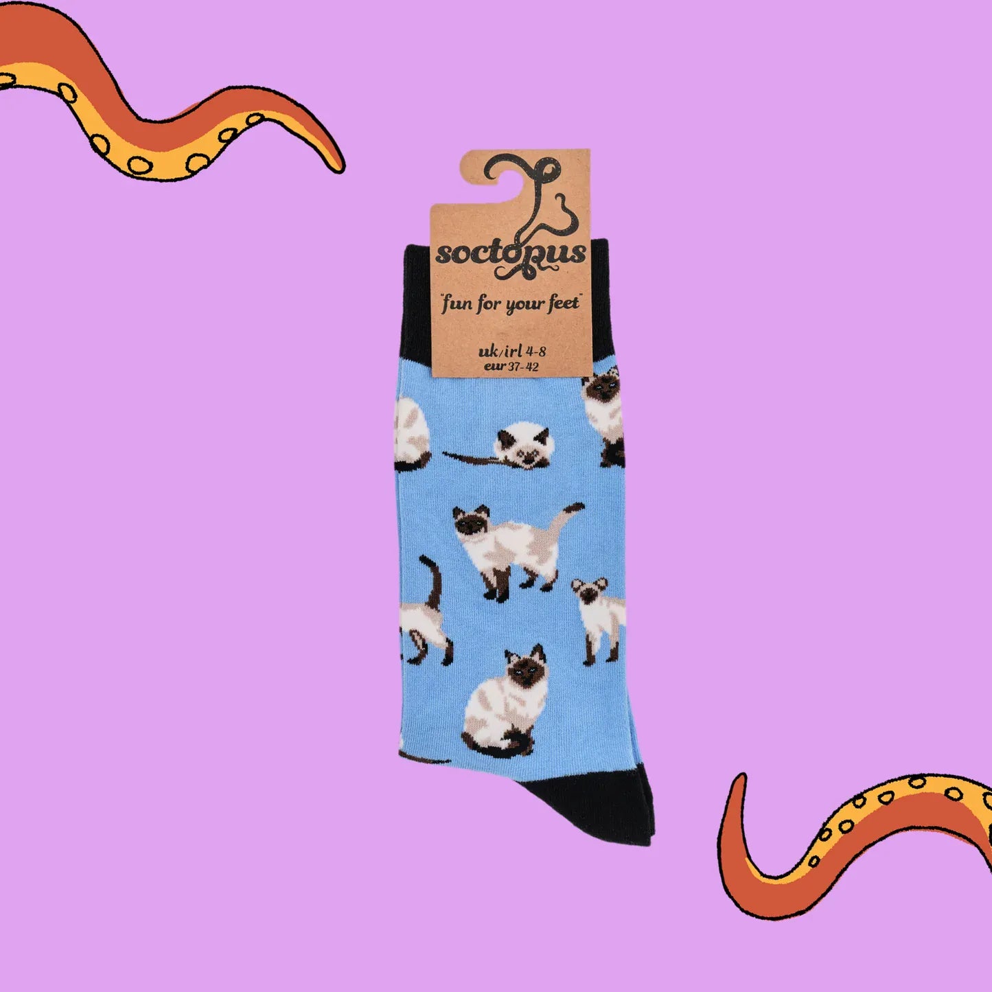 Socktopus Siamese Cats combed cotton socks in retail packaging featuring multiple Siamese cats on a bright blue background with black cuffs and toes.
