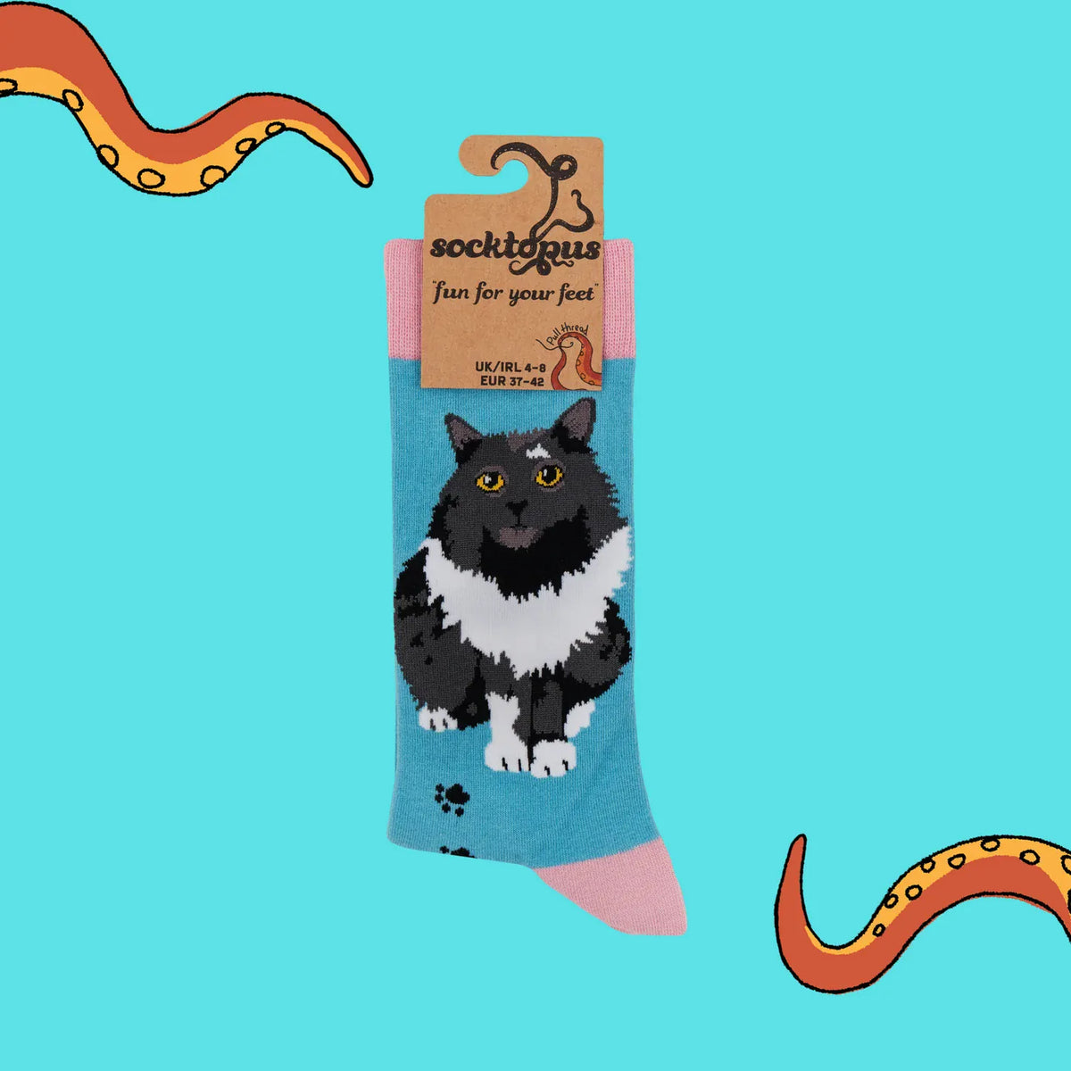 Socktopus Pro-Cat-stinating ladies' socks in UK size 4–8, showing fluffy black-and-white cat design and Socktopus branded cardboard packaging.