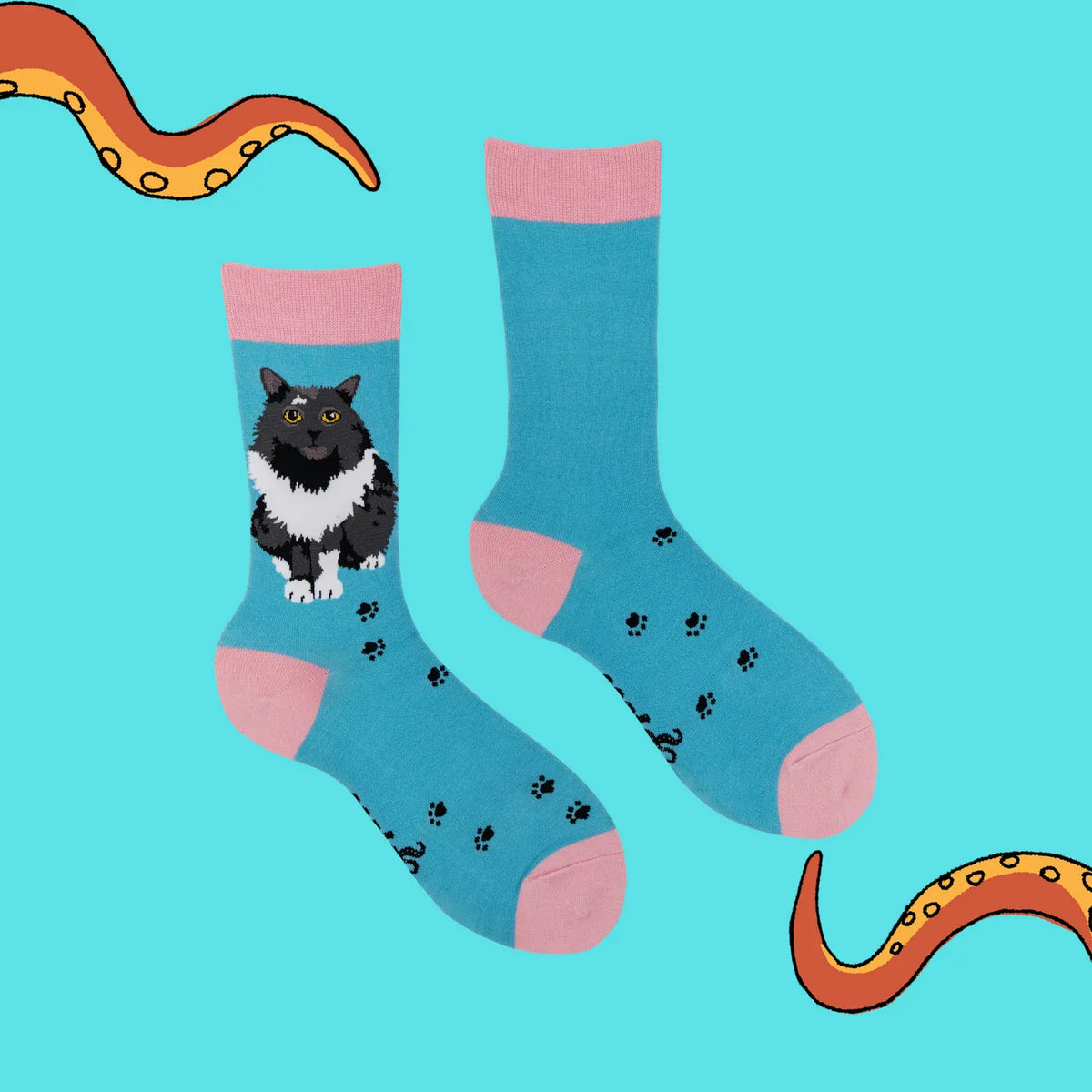 Front and back of Socktopus Pro-Cat-stinating ladies' cat socks, featuring a fluffy black-and-white cat, scattered paw prints and pink detailing on aqua blue fabric.