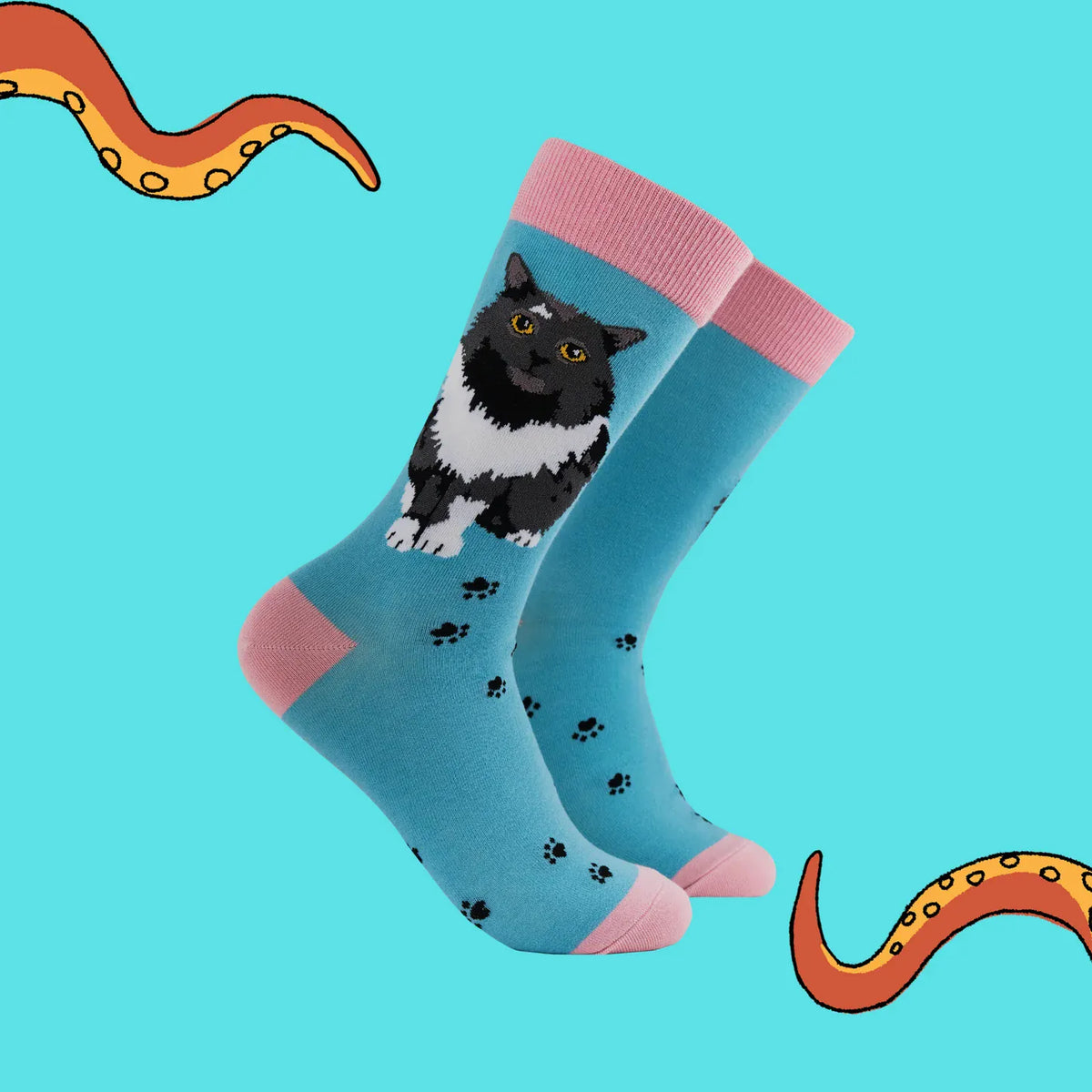 Angled view of Socktopus Pro-Cat-stinating aqua blue cat socks with golden-eyed black-and-white cat illustration, pink cuffs, heels and toes, and black paw print pattern.