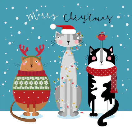Three festive cats Merry Christmas card with cats wearing reindeer antlers, Santa hat and red scarf, colourful fairy lights, robin and falling snow