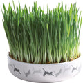 Cat Accessories Trixie Cat Grass Growing Kit in Ceramic Cat Bowl – Indoor Cat Grass Planter 42341