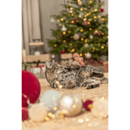 Tabby cat lying on a rug and reaching for a Trixie gingerbread man catnip teaser toy, with a decorated Christmas tree and festive baubles in the background.