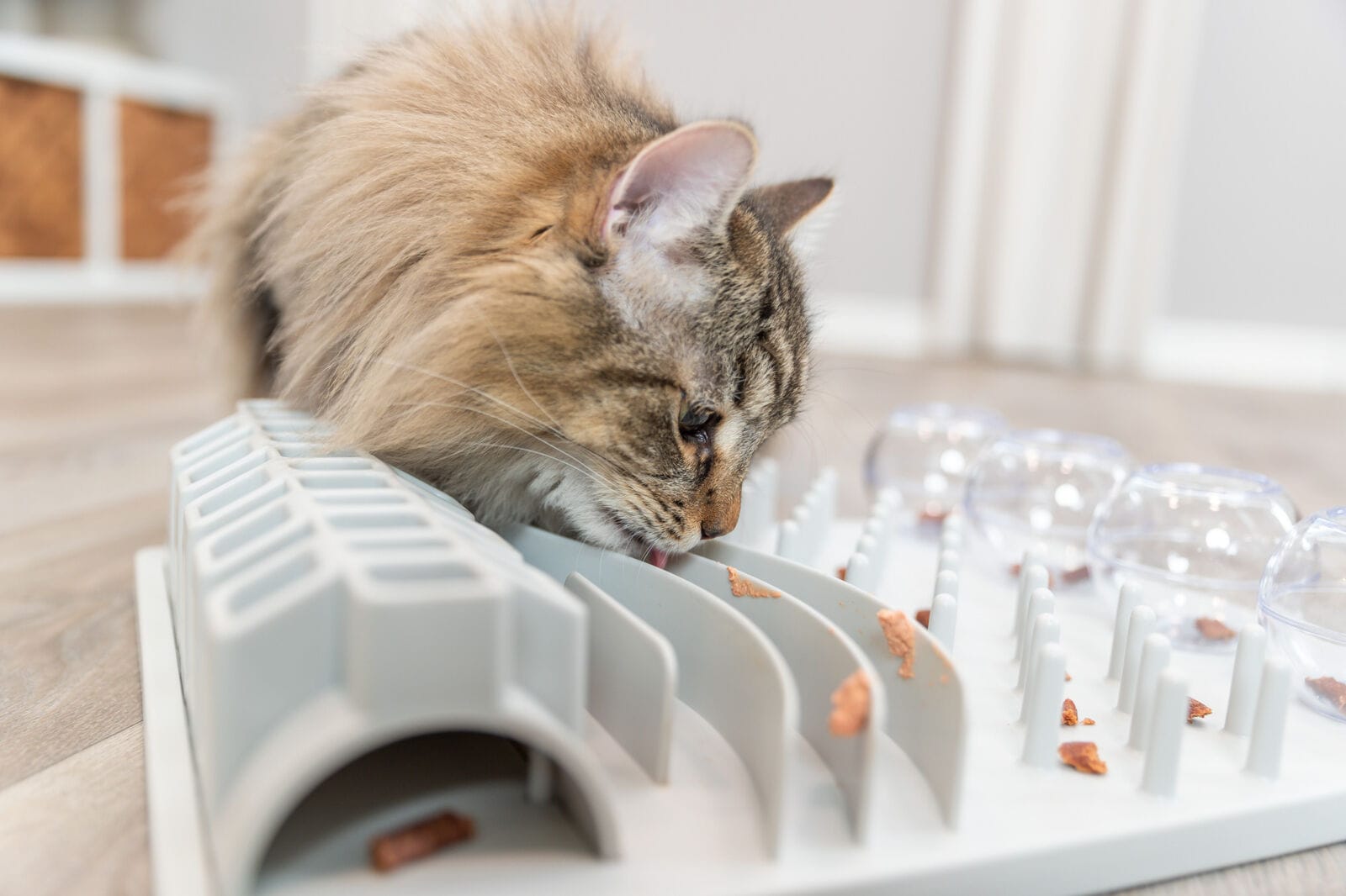 Long-haired cat enjoying the Trixie Fun Board interactive puzzle feeder with hidden cat treats and food rewards
