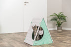 Curious cute tabby kitten relaxing inside the Trixie Lucy felt tepee cat cave hideaway with interactive hanging toy