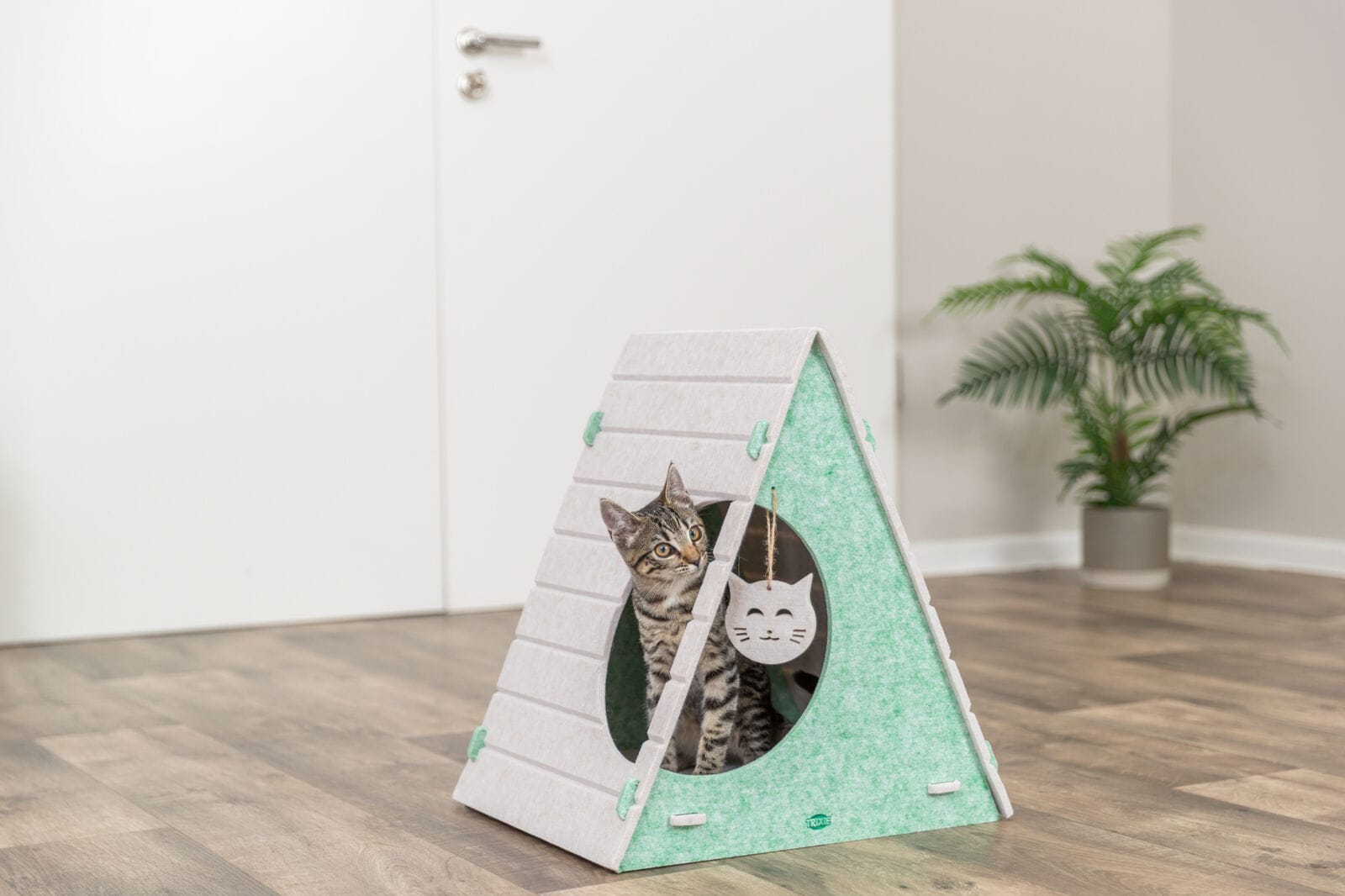 Curious cute tabby kitten relaxing inside the Trixie Lucy felt tepee cat cave hideaway with interactive hanging toy