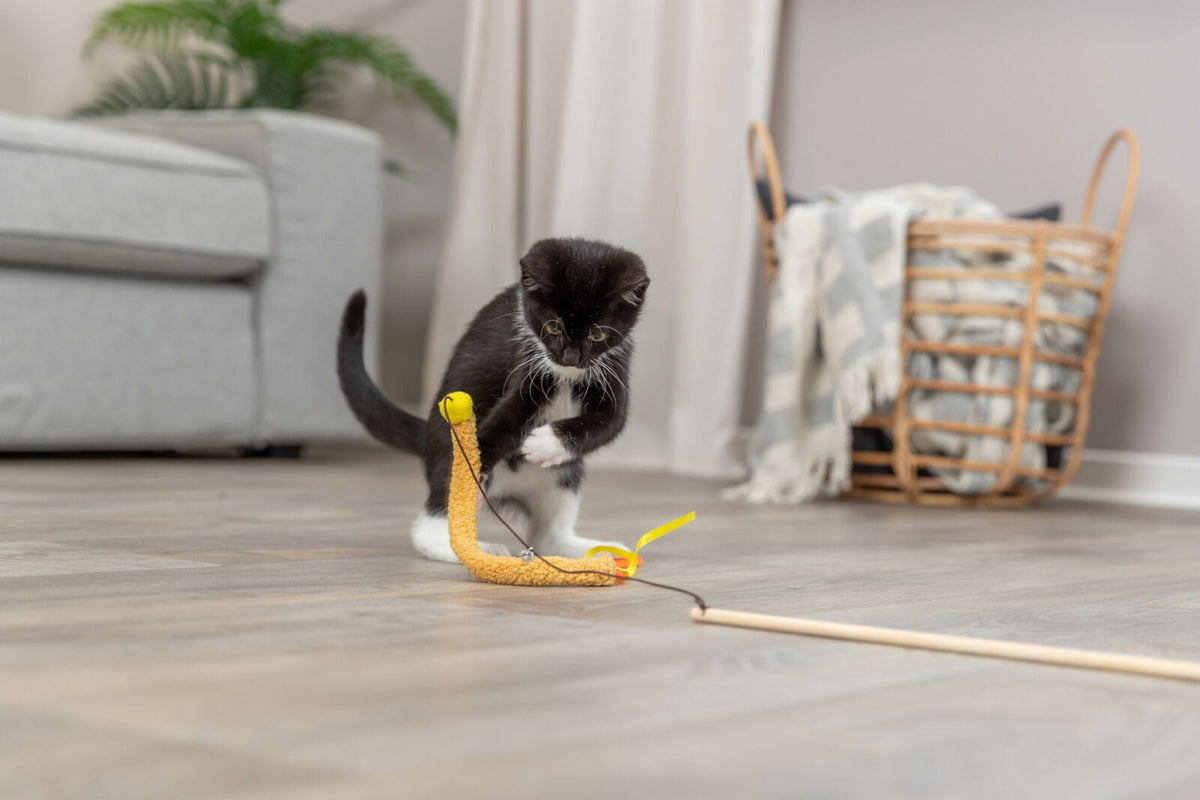 Black and white kitten playing with a yellow Trixie Plush Cat Teaser on a wooden floor.
