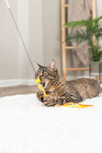 Tabby cat gripping and biting a yellow plush teaser toy with colourful ribbons.
