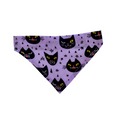 Handmade Cat/Dog Over the Collar Bandana Scary Cats