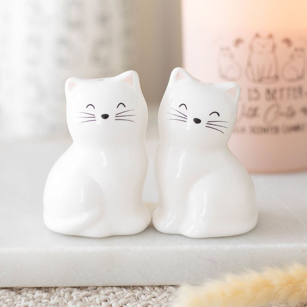 Cute white cat-shaped ceramic salt and pepper shakers displayed together on a kitchen surface, showing their cheerful faces and matching design.