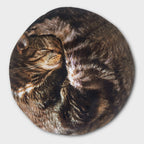 Lap Cat: Realistic Cat Hot Water Bottle