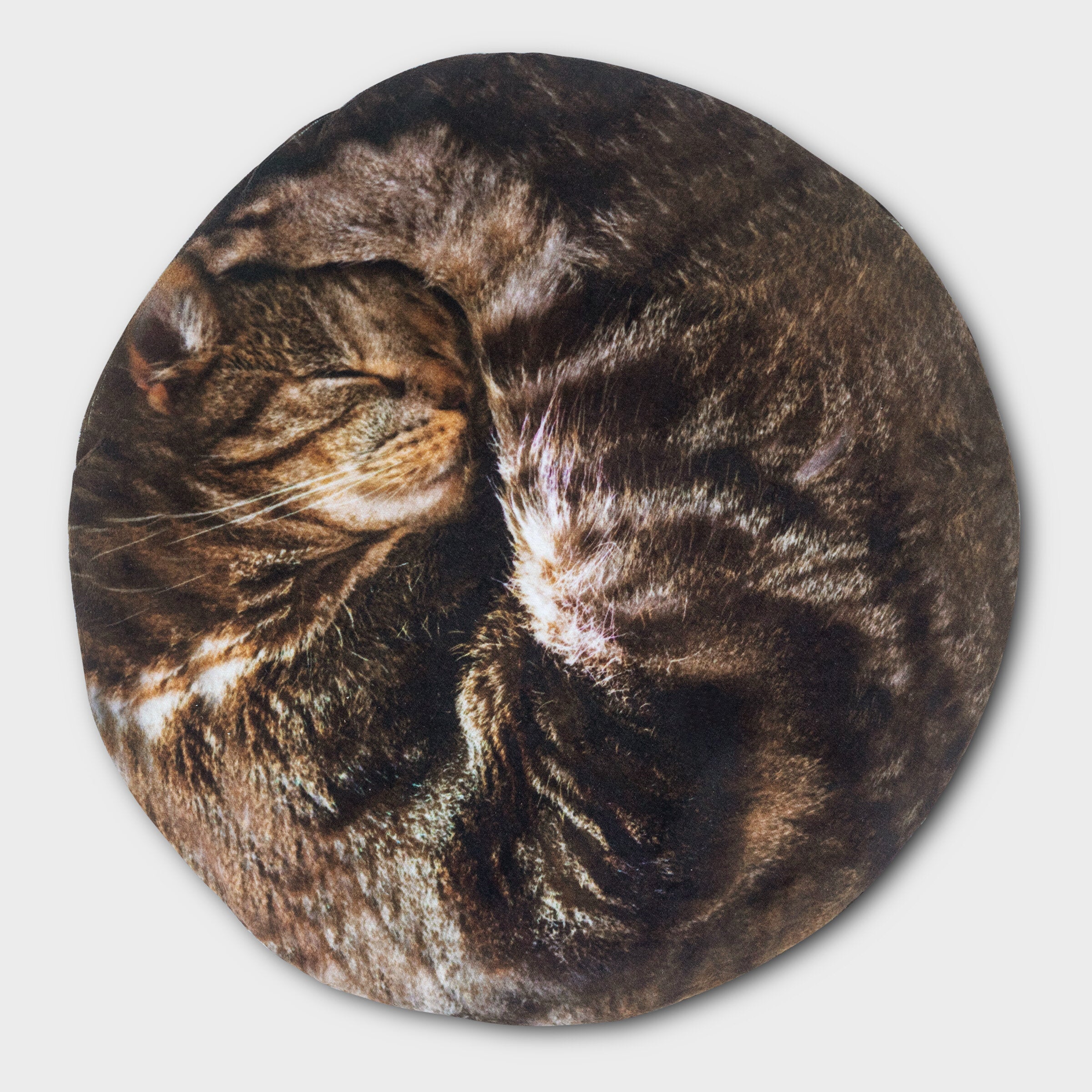 Lap Cat: Realistic Cat Hot Water Bottle