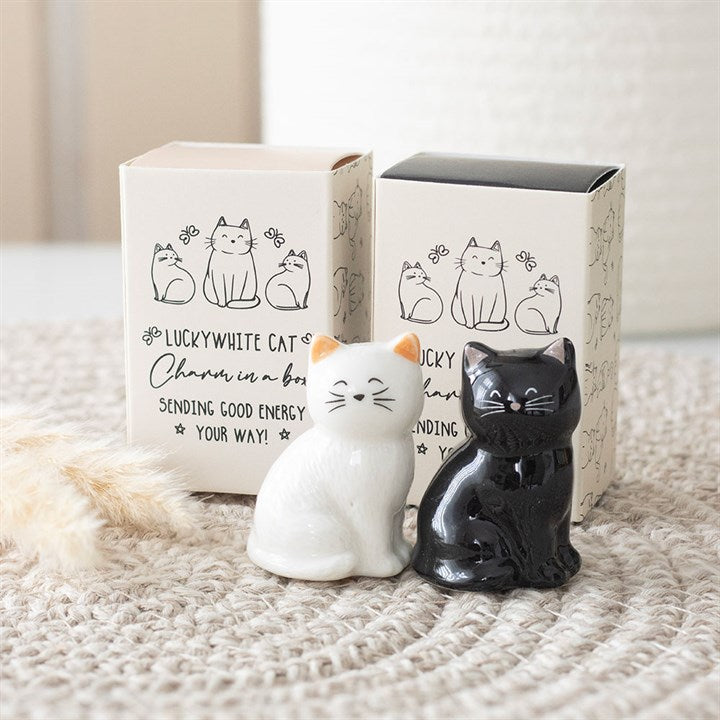Cat Lucky Charm in Gift Box - Black or White Cat