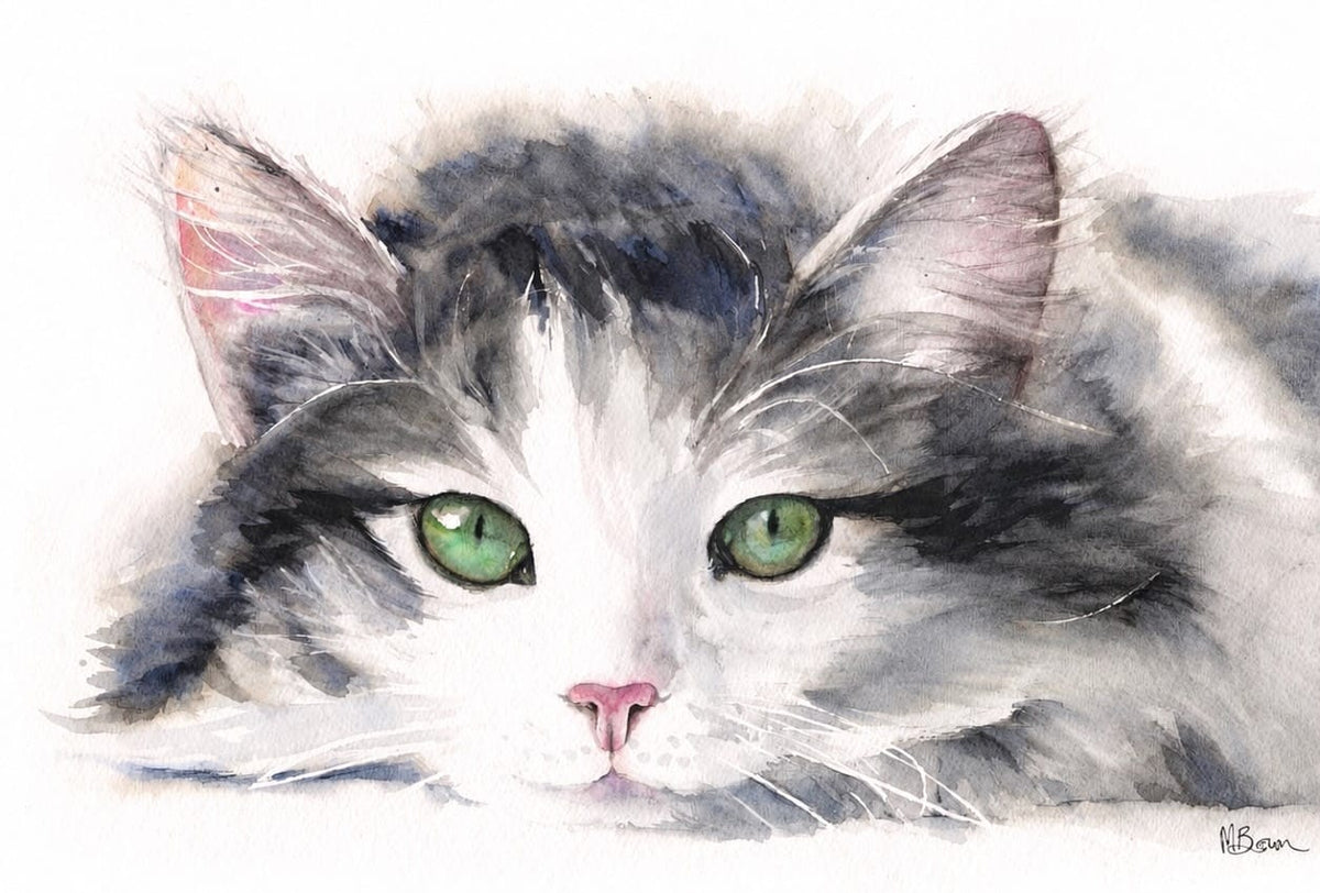 Marie Brown Fine Art Cats 2027 Wall Calendar