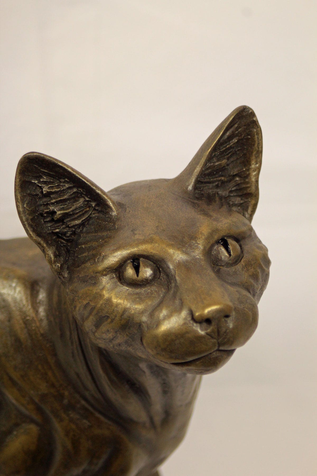 Hungry Cat Cold Cast Bronze Sculpture by Pippa Hill | Luxury Cat Ornament