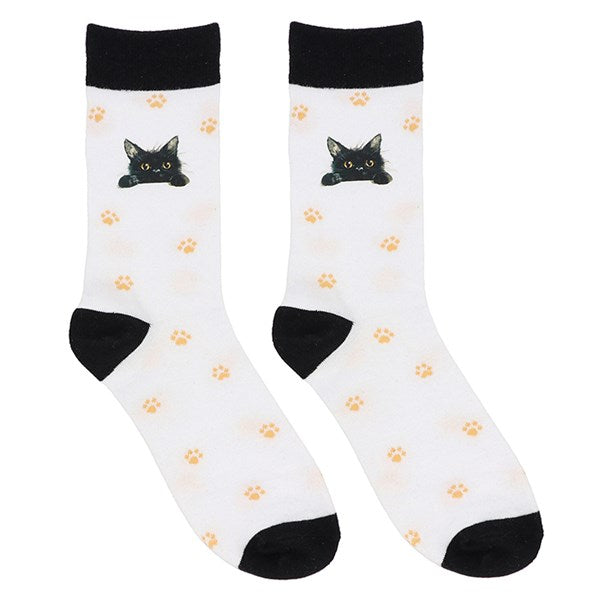 Pawsome Black Cat & Paw Prints Cotton Socks