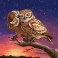 EXCLUSIVE DESIGN! 5D Diamond Art Kit: Owl Branch