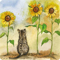 Alex Clark Cat and Sunflowers square coaster showing a small tabby cat gazing up at tall golden sunflowers