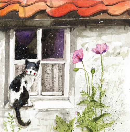 Alex Clark Classic Square Window greeting card with black and white cat sitting beside a cottage window and pink flowers