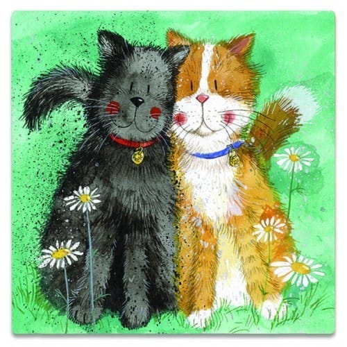Alex Clark Toffee & Treacle cat fridge magnet featuring a black cat and ginger and white cat sitting together amongst white daisies