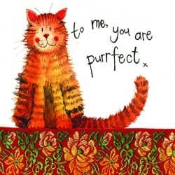 Alex Clark Little Sparkles Purrfect greeting card featuring a ginger cat with the words to me you are purrfect
