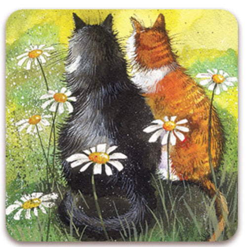 Alex Clark Watching & Waiting cat coaster featuring black and white and ginger cats sitting together amongst white daisies