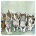 Alex Clark Cat Quadruplets single coaster featuring four cats with different tabby, tortoiseshell and white markings
