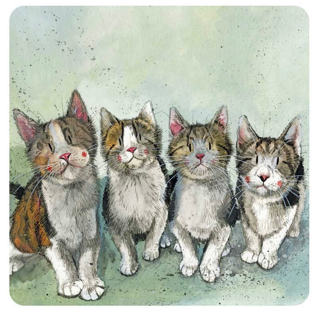 Alex Clark Cat Quadruplets single coaster featuring four cats with different tabby, tortoiseshell and white markings