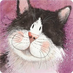 Alex Clark Frisky Cat coaster featuring a close-up illustration of a fluffy black and white cat with curious eyes and rosy cheeks on a pink background.