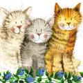 Alex Clark Three Amigos coaster featuring a cream tabby, grey cat and ginger tabby sitting together behind a border of blue flowers.
