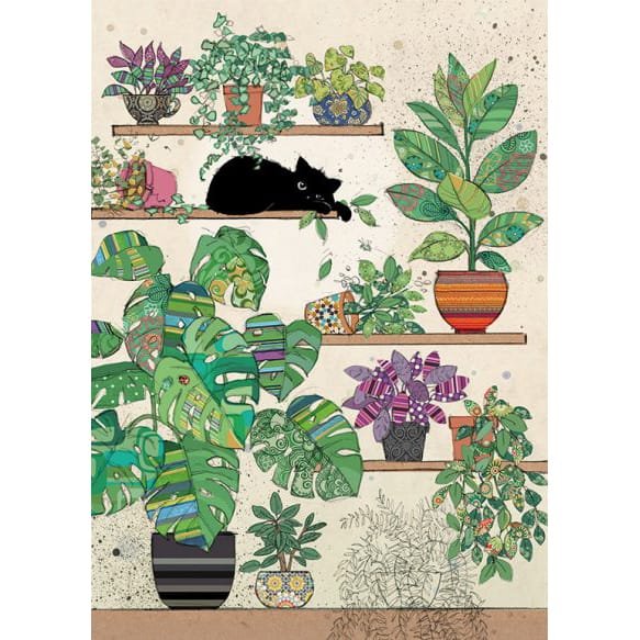 Bug Art Plants Kitty luxury greetings card by Jane Crowther featuring a mischievous black cat nibbling a leaf amongst colourful patterned houseplants and pots