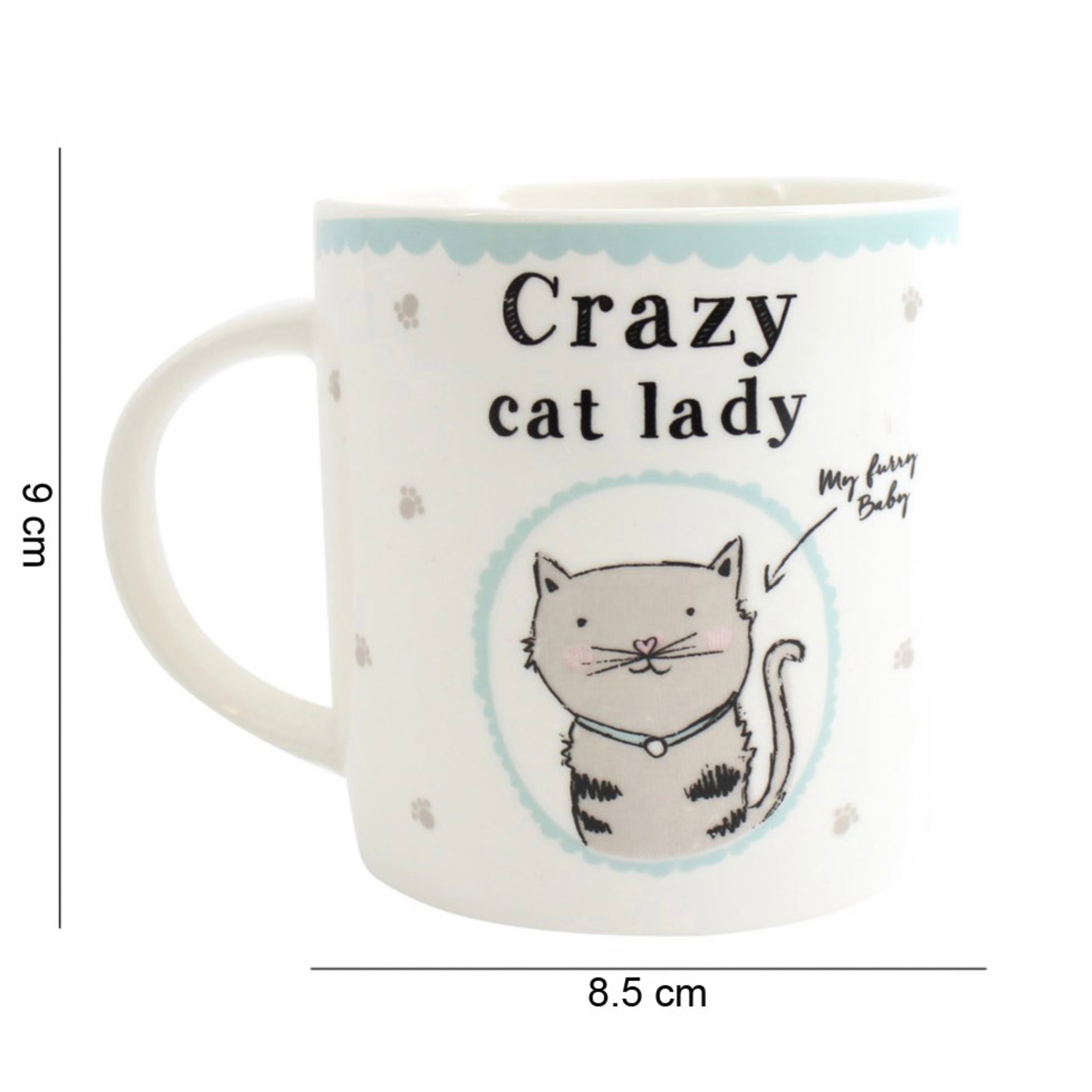 Crazy Cat Lady Mug in Gift Box