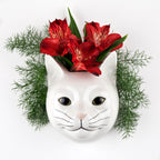 Quail Ceramics Daisy Cat Wall Flower Vase / Organiser